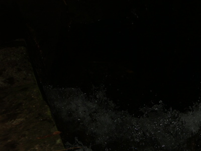 03galerie 29