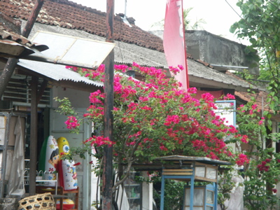 04galerie 11