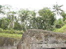 vignette 10galerie
