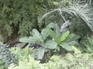 vignette 10galerie