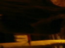 vignette 11galerie