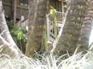 vignette 12galerie