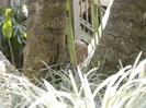 vignette 12galerie