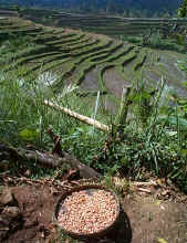 Bali, un rve accessible  tous